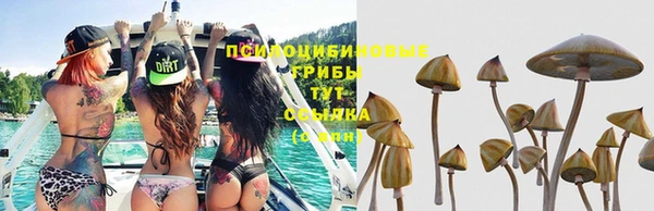 apvp Абинск