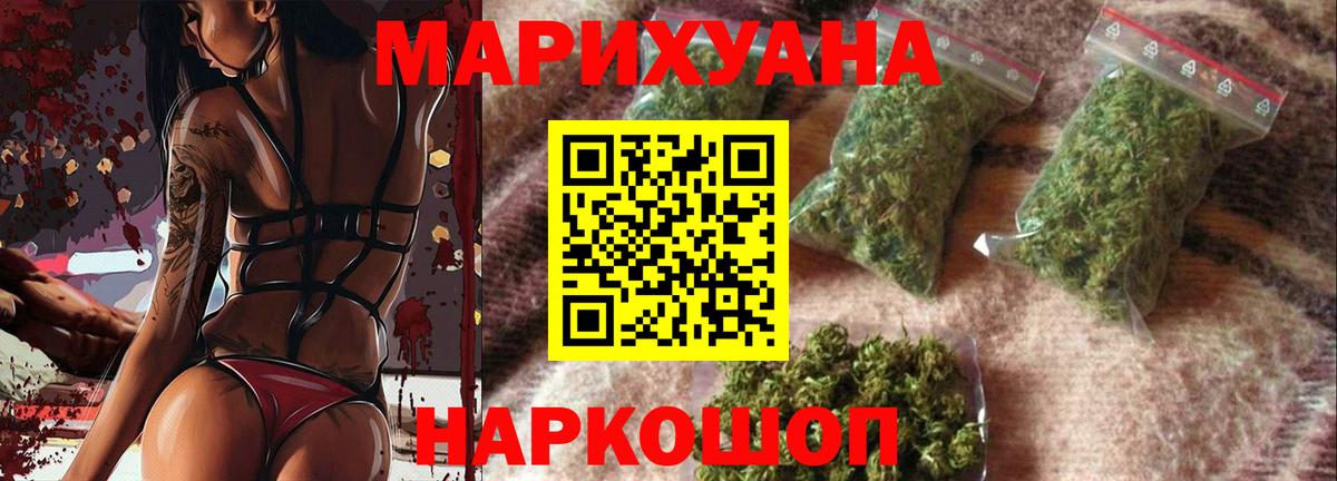 Бошки Шишки планчик Северодвинск
